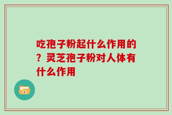 吃孢子粉起什么作用的？灵芝孢子粉对人体有什么作用