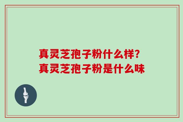 真灵芝孢子粉什么样？真灵芝孢子粉是什么味