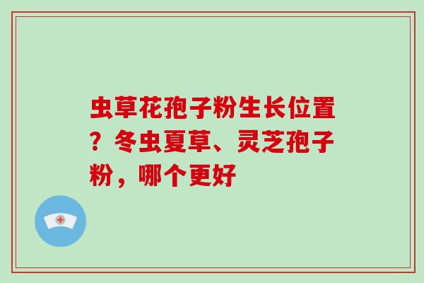 虫草花孢子粉生长位置？冬虫夏草、灵芝孢子粉，哪个更好