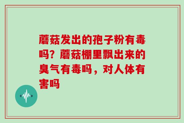 蘑菇发出的孢子粉有毒吗？蘑菇棚里飘出来的臭气有毒吗，对人体有害吗