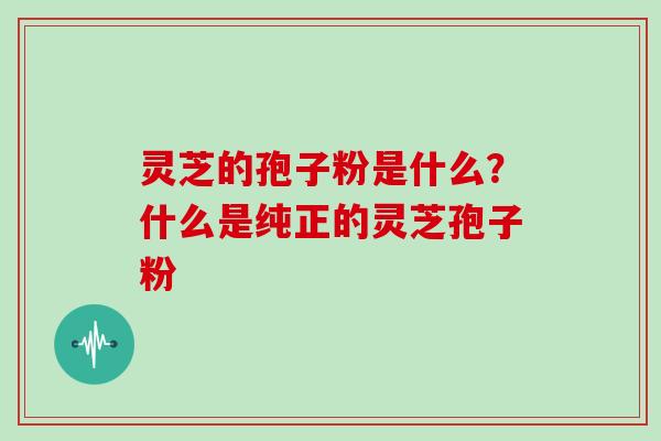 灵芝的孢子粉是什么？什么是纯正的灵芝孢子粉