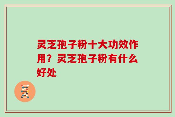 灵芝孢子粉十大功效作用？灵芝孢子粉有什么好处