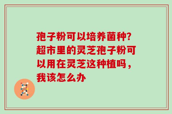 孢子粉可以培养菌种？超市里的灵芝孢子粉可以用在灵芝这种植吗，我该怎么办