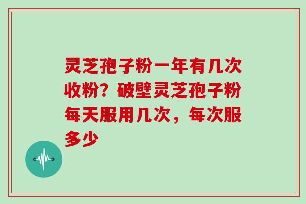 灵芝孢子粉一年有几次收粉？破壁灵芝孢子粉每天服用几次，每次服多少