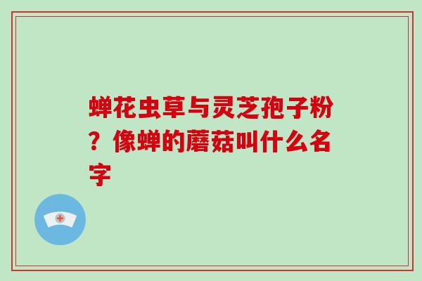 蝉花虫草与灵芝孢子粉？像蝉的蘑菇叫什么名字