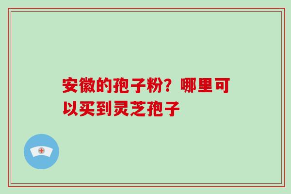 安徽的孢子粉？哪里可以买到灵芝孢子