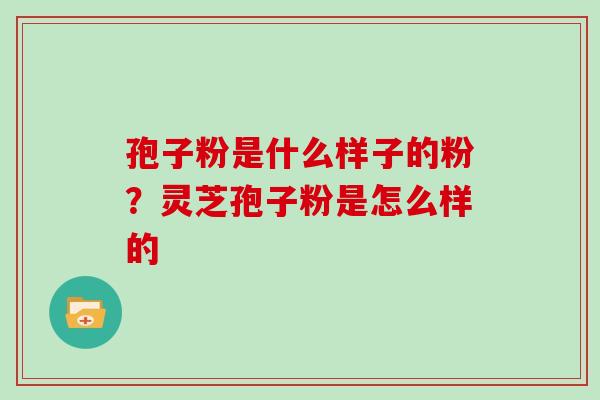 孢子粉是什么样子的粉？灵芝孢子粉是怎么样的