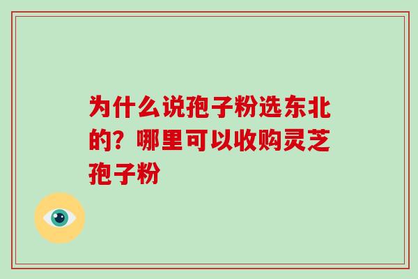 为什么说孢子粉选东北的？哪里可以收购灵芝孢子粉