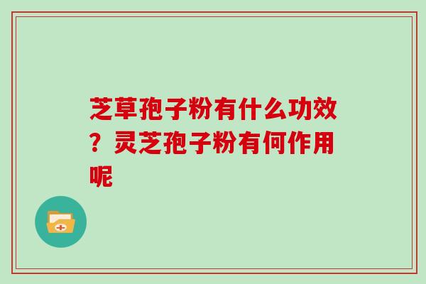 芝草孢子粉有什么功效？灵芝孢子粉有何作用呢