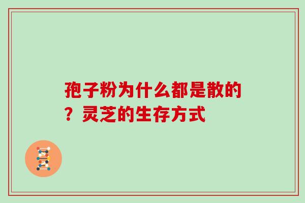 孢子粉为什么都是散的？灵芝的生存方式