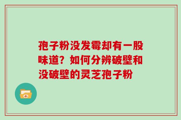 孢子粉没发霉却有一股味道？如何分辨破壁和没破壁的灵芝孢子粉