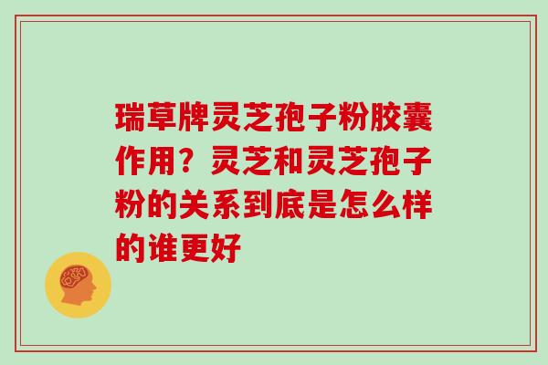 瑞草牌灵芝孢子粉胶囊作用？灵芝和灵芝孢子粉的关系到底是怎么样的谁更好
