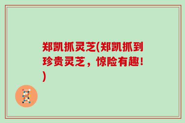 郑凯抓灵芝(郑凯抓到珍贵灵芝，惊险有趣！)