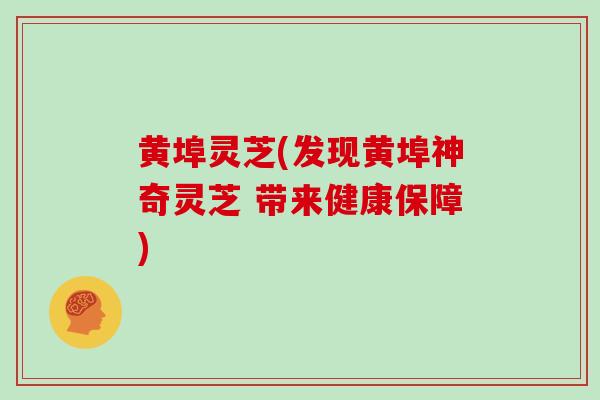 黄埠灵芝(发现黄埠神奇灵芝 带来健康保障)