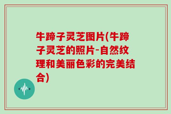 牛蹄子灵芝图片(牛蹄子灵芝的照片-自然纹理和美丽色彩的完美结合)