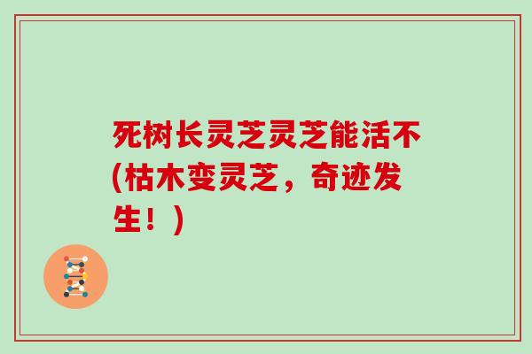 死树长灵芝灵芝能活不(枯木变灵芝，奇迹发生！)