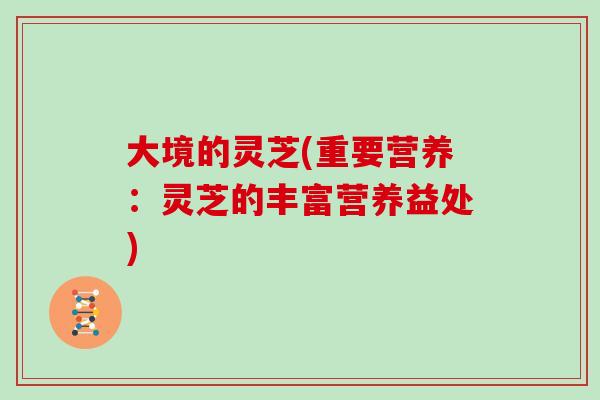 大境的灵芝(重要营养：灵芝的丰富营养益处)