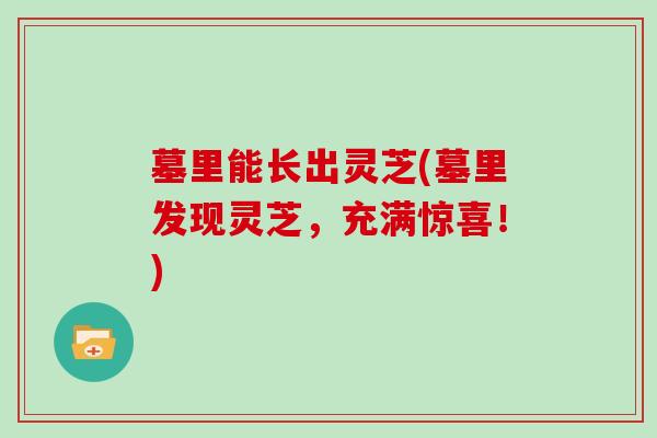 墓里能长出灵芝(墓里发现灵芝,充满惊喜!)-第1张图片-灵芝大师 墓里能长出灵芝(墓里发现灵芝,充满惊喜!)-第1张图片-灵芝大师