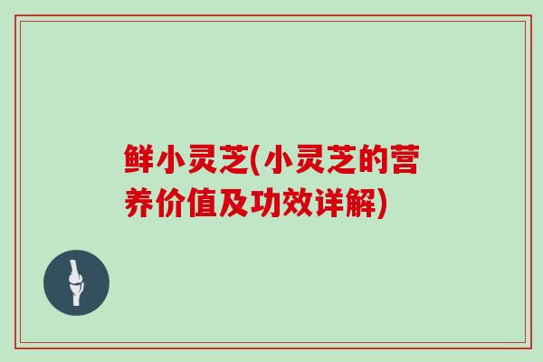 鲜小灵芝(小灵芝的营养价值及功效详解)