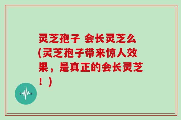 灵芝孢子 会长灵芝么(灵芝孢子带来惊人效果，是真正的会长灵芝！)