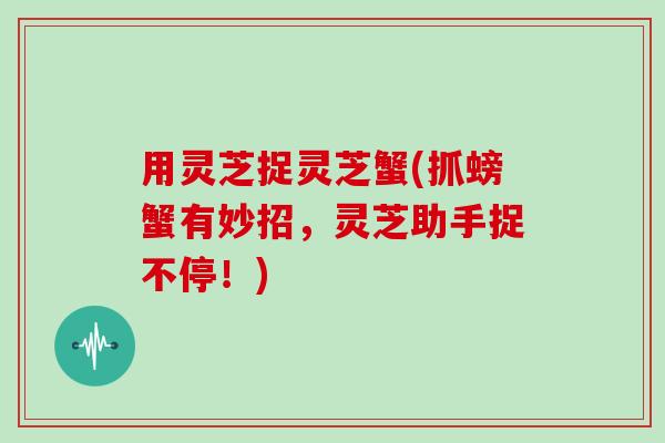 用灵芝捉灵芝蟹(抓螃蟹有妙招，灵芝助手捉不停！)