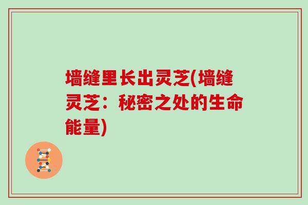 墙缝里长出灵芝(墙缝灵芝：秘密之处的生命能量)