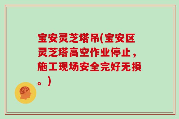 宝安灵芝塔吊(宝安区灵芝塔高空作业停止,施工现场安全完好无损。)-第1张图片-灵芝大师 宝安灵芝塔吊(宝安区灵芝塔高空作业停止,施工现场安全完好无损。)-第1张图片-灵芝大师