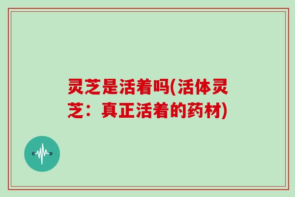 灵芝是活着吗(活体灵芝：真正活着的药材)