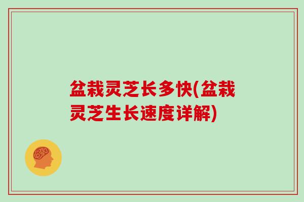 盆栽灵芝长多快(盆栽灵芝生长速度详解)