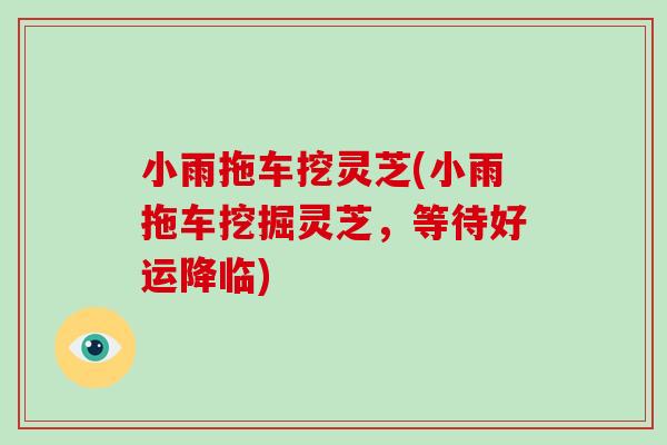 小雨拖车挖灵芝(小雨拖车挖掘灵芝，等待好运降临)