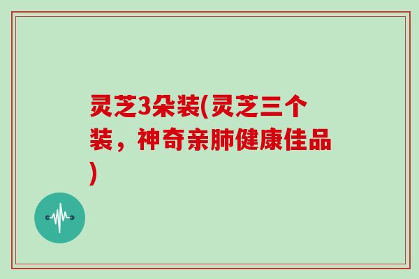 灵芝3朵装(灵芝三个装，神奇亲肺健康佳品)