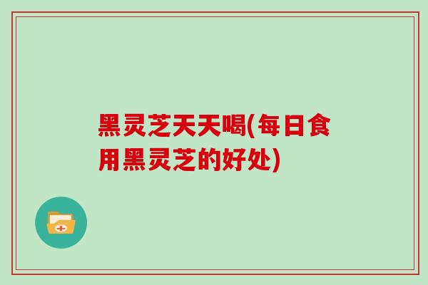 黑灵芝天天喝(每日食用黑灵芝的好处)
