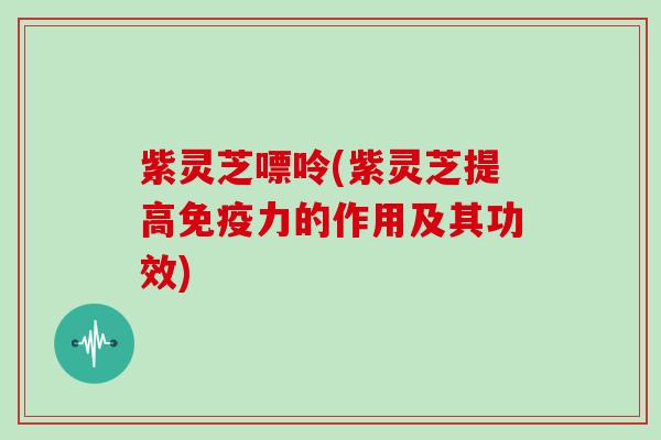 紫灵芝嘌呤(紫灵芝提高免疫力的作用及其功效)