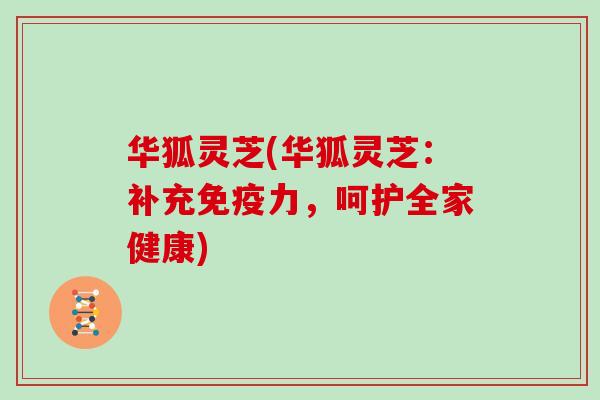 华狐灵芝(华狐灵芝：补充免疫力，呵护全家健康)