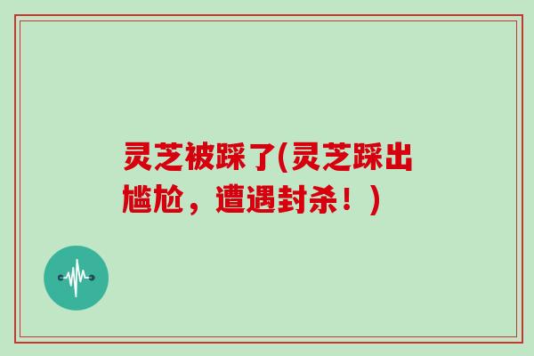 灵芝被踩了(灵芝踩出尴尬，遭遇封杀！)