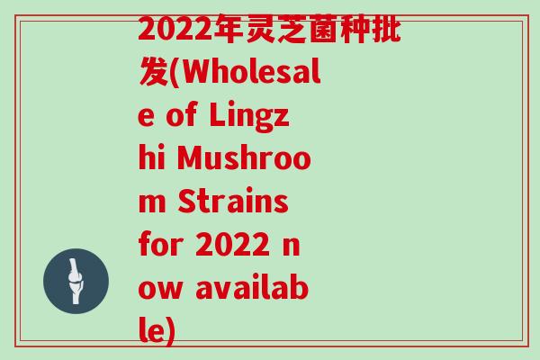 2022年灵芝菌种批发(Wholesale of Lingzhi Mushroom Strains for 2022 now available)