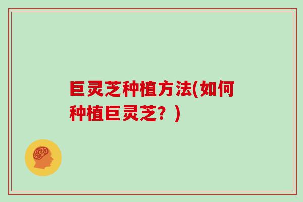 巨灵芝种植方法(如何种植巨灵芝？)