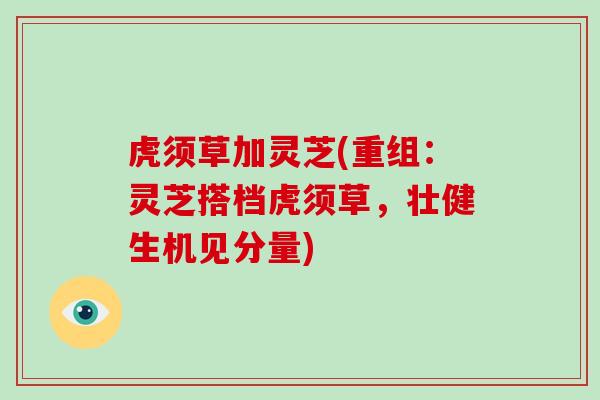 虎须草加灵芝(重组:灵芝搭档虎须草,壮健生机见分量)-第1张图片-灵芝大师 虎须草加灵芝(重组:灵芝搭档虎须草,壮健生机见分量)-第1张图片-灵芝大师