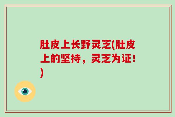 肚皮上长野灵芝(肚皮上的坚持,灵芝为证!)-第1张图片-灵芝大师 肚皮上长野灵芝(肚皮上的坚持,灵芝为证!)-第1张图片-灵芝大师