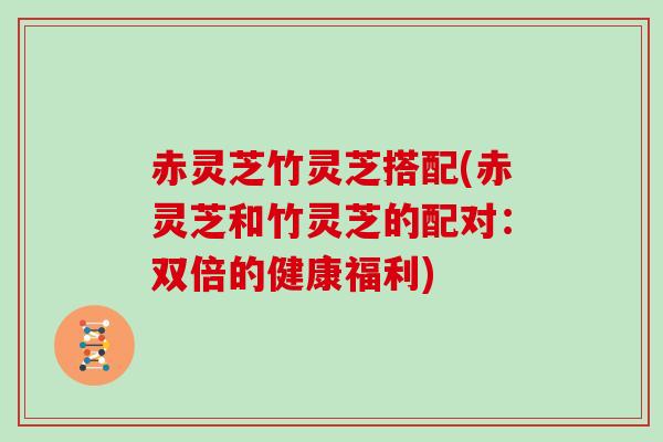 赤灵芝竹灵芝搭配(赤灵芝和竹灵芝的配对：双倍的健康福利)