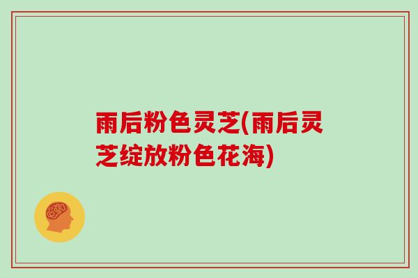 雨后粉色灵芝(雨后灵芝绽放粉色花海)