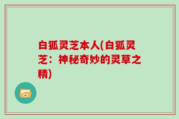 白狐灵芝本人(白狐灵芝：神秘奇妙的灵草之精)