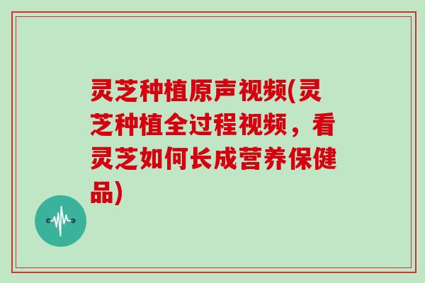 灵芝种植原声视频(灵芝种植全过程视频，看灵芝如何长成营养保健品)