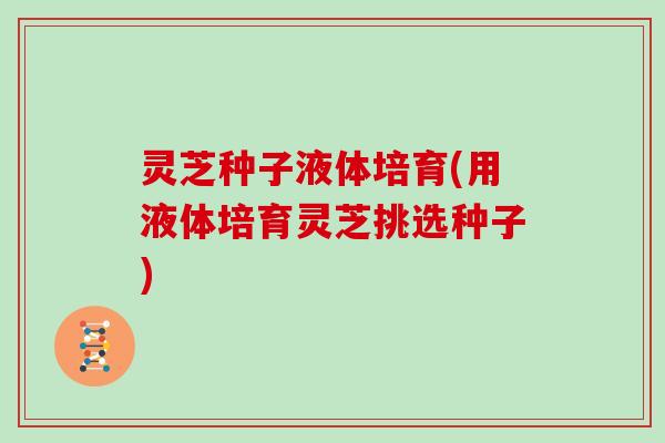 灵芝种子液体培育(用液体培育灵芝挑选种子)
