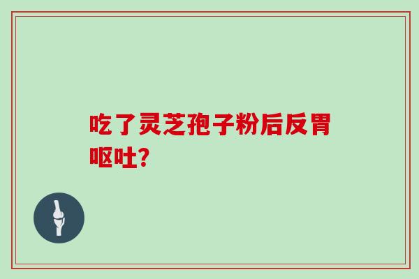 吃了灵芝孢子粉后反胃呕吐？