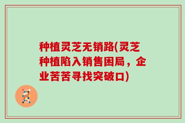 种植灵芝无销路(灵芝种植陷入销售困局，企业苦苦寻找突破口)
