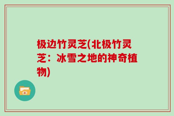 极边竹灵芝(北极竹灵芝：冰雪之地的神奇植物)