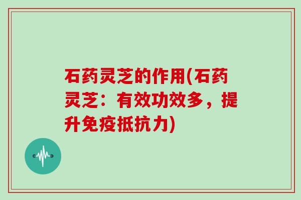 石药灵芝的作用(石药灵芝：有效功效多，提升免疫抵抗力)