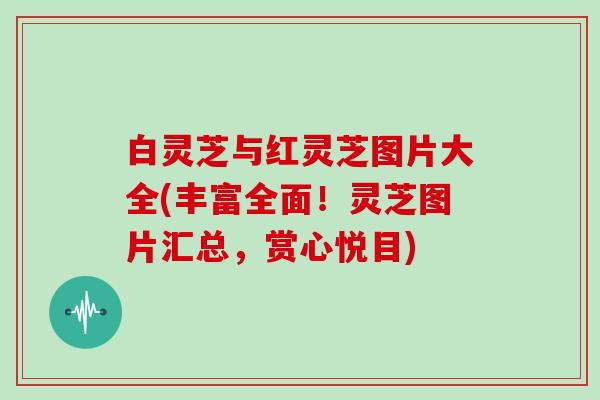 白灵芝与红灵芝图片大全(丰富全面！灵芝图片汇总，赏心悦目)