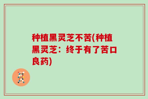 种植黑灵芝不苦(种植黑灵芝：终于有了苦口良药)